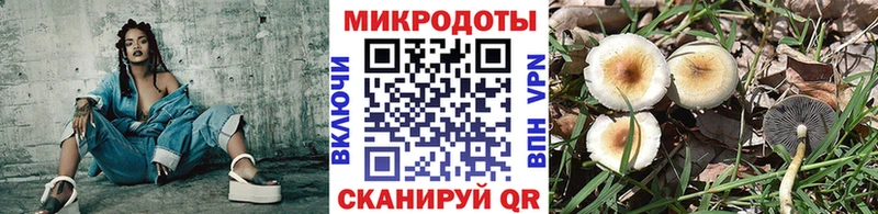 Псилоцибиновые грибы Cubensis дарнет шоп Трёхгорный